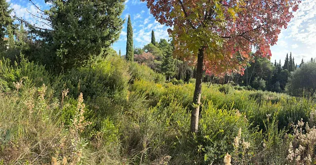 Wunderschönes Grundstück in Mojdež, Herceg Novi, umgeben von Natur — photo 7